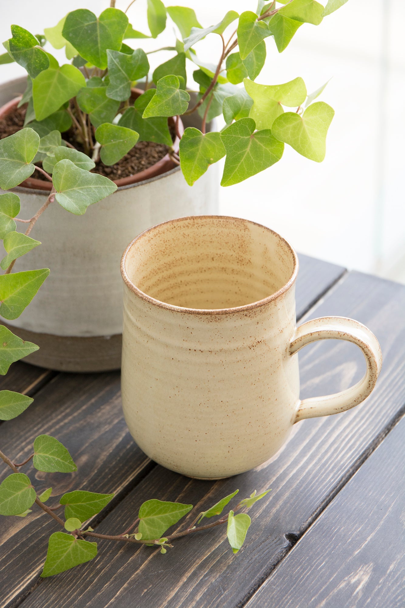 Extra Large Pottery Mug, 20 fl oz - Mad About Pottery- Mug